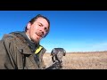 jerfalcon upland game hunting wetlands utah falconry 2021