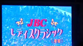 ＪＢＣレディスクラシック〈重賞〉ファンファーレ（個人撮影）2011年11月3日（木）大井競馬場