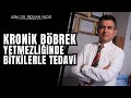 Kronik böbrek yetmezliğinde bitkilerle tedavi | Dr. Rıdvan Yıldız