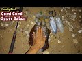 Squid handler conquers squid monster || Fishing for squid in the afternoon and evening