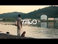 Tavo Pets | A New Standard in Pet Protection