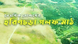 নৈসর্গিক সৌন্দর্যের হরিণছড়া গলফ মাঠ, শ্রীমঙ্গল | Harinchara Golf Ground Sreemangal #sreemangal