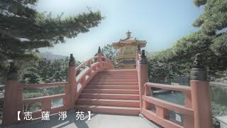 【志蓮淨苑】Chi Lin Nunnery