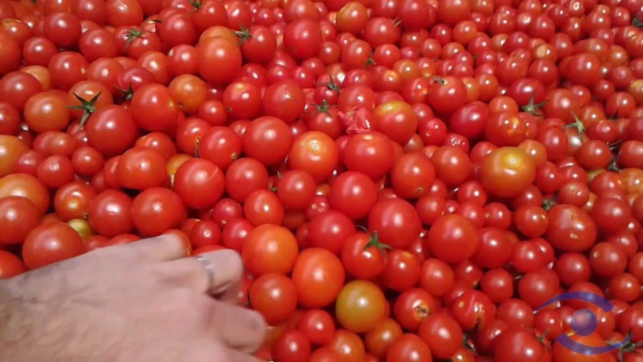 Multiscan S30tg Youtube