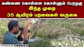 வேடந்தாங்கல் சரணாலயத்தில் டூரிஸ்ட்கள் உற்சாகம் | Vedanthangal Bird Sanctuary | Migratory birds