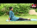 మోకాళ్ళలో నొప్పులను మాయం చేసే ఆసనాలు yoga for knee pain relief knee pain harika yoga hmtv