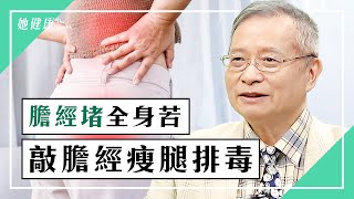 敲膽經瘦腿排毒 治坐骨神經痛腰痛｜林昭庚 醫師｜386｜談古論今話中醫｜中醫知識CooL