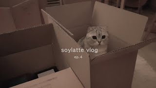 일상 vlog 🧸 자취생 이사 브이로그 📦 반려동물 키울 수 있는 집 구하기의 현실적인 어려움 🐕🐈 이사 이틀 만에 계약 파기 위기, 강아지 방문훈련