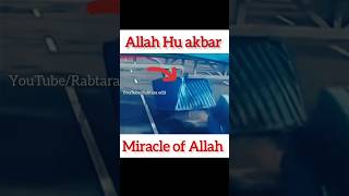 Miracle of Allah☝😰😱||#yaAllah #islam #short  respect #short