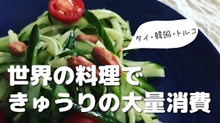 【きゅうりの大量消費】酢の物に飽きたらタイ・韓国・トルコ料理にチャレンジ！海外旅行気分になっちゃおう