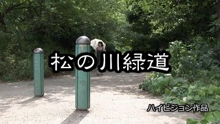 松の川緑道（劇場版）