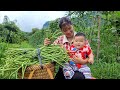 Harvest long green beans to sell at the market, sweep the house, and the daughter learns to walk