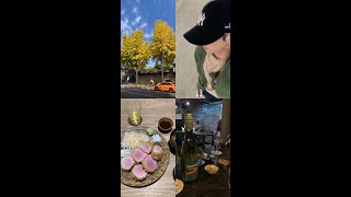 첫번째 VLOG / 가을이 가기전에 더더 [서촌,인왕산,일월까츠,독서,혼술]