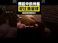 傳說中的神星尼比魯即將回歸？太陽系第12顆行星，真的存在嗎？ 尼比魯 太陽系 阿努納奇