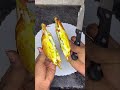 ವೇಗ್ ಸ್ಯಾಂಡ್ವಿಚ್ veg sandwich. viral viralvideo viralshorts trendingshorts recipe