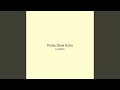 Pulse Glow Echo
