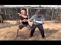 Golden Tiger Kung Fu - Kata & Fighting Application