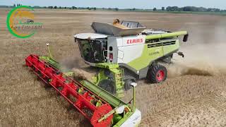 7x Claas Lexion || 4x John Deere || Žatva Pšenica 2022 || Agro Matúškovo