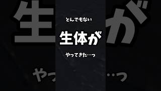 “当店初‼️”ハイクオリティ✨✨とんでもない生き物が、爬虫類ショップにやってきた…っ‼︎#爬虫類 #ペット #shorts