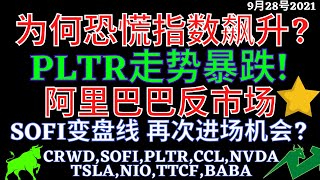 美股 为何恐慌指数飙升? PLTR走势暴跌! 阿里巴巴反市场 SOFI变盘线 再次进场机会? CRWD,SOFI,PLTR,CCL,NVDATSLA,NIO,TTCF,BABA