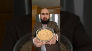 How to Make Egyptian Belila: Wheat Berries Recipe | بليله | The Egyptian Cook