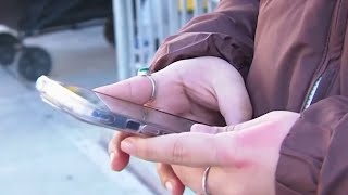 Cellphone ban bill introduced by DC Councilmember in DCPS | NBC4 Washington