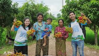 ប្រាសាទ ប្រជាជន វប្បធម៌  ធម្មជាតិ🌿\