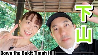 ブキティマお猿の出る山をワイルド下山の巻(Down the Bukit Timah Hill)