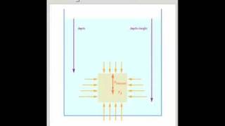 Forces Exerted on an Immersed Object