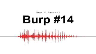 Burp #14 Sound Effect