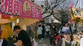 とつか桜祭り2024（どんな露店があるかもわかるよ）戸塚駅、横浜市戸塚区