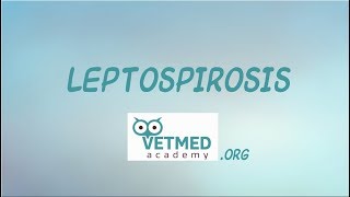 Introduction to Leptospirosis