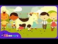 Ring Around the Rosie - The Kiboomers Preschool Songs & Nursery Rhymes for Circle Time