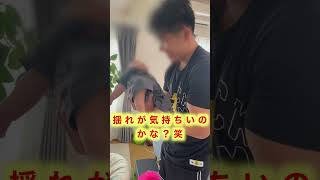 【生後２ヶ月】育児トレ始めました！？ 揺れで眠くなってるw #shorts #赤ちゃん #赤ちゃんのいる生活 #新米パパママ #筋トレ