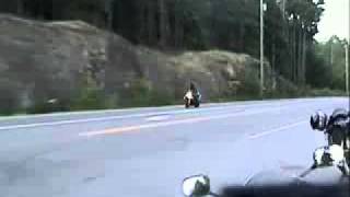 RC51 Wheelie 4.flv