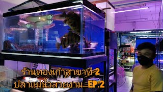 ปลาแม่น้ำสวยงาม​(ร้านทองเก้าสาขา​ 2)​Ep.2​