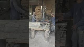 Wood Cutting in Factory | Huge Production Of Wooden Blocks #wood #factory