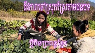 តោះបងប្អូន បេះផ្លែក្រូចអុីជិតខាងជាមួយខ្ញុំ