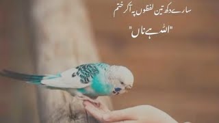 Islamic Quotes ll Listen and Feel Relax ll Blessings Day ll Jumma Mubarak ll Meet maria