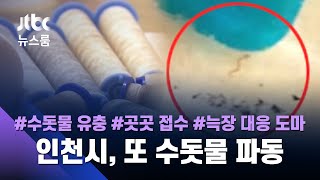 '붉은 수돗물' 사태 1년, 이번엔 '깔따구 유충'…인천엔 무슨 일이? / JTBC 뉴스룸