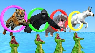 Jump over Ring with Tiger Gorilla Hippo Donkey  Funny Wind Animals