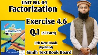 Exercise 4.6 Unit 4 Factorization Class 9 New Mathematics Book Sindh Board Q1 All Parts | Chapter 4