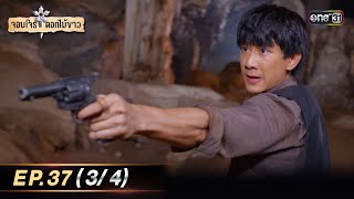 จอมโจรดอกไม้ขาว | Ep.37 (3/4) | 13 ก.ย. 66 | ประเทศไทยรับชมได้ทาง oneD