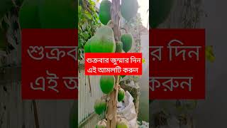 part128#শুক্রবার জুম্মার দিনে এই আমলটি করুন #শর্ট ভিডিও