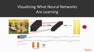 Java Machine Learning for Computer Vision: What Are Convolution N/W Layers Learning?|packtpub.com