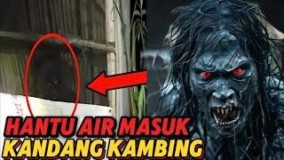 VIRAL ‼️Warga Terkejut dengan Kemunculan Hantu Air/banyu Saat Banjir