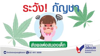 กัญชาส่งผลต่อสมองเด็ก I รพ.วิชัยเวช​ หนองแขม