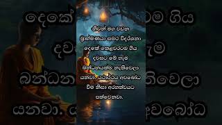 ඔව්, සීල, සමාධි, ප්‍රඥා ආදී ගුණ ධර්ම වඩා මේ දුක්ඛිත සසරින් එතෙර වන්න පින්වත්නි... | #sinhala #quotes