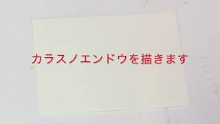 【アートセラピー】５分で描けるかんたん絵手紙（カラスノエンドウ）