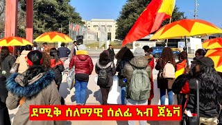 ብማሕበር ደቂ አነስትዮ ተጋሩ ስዊዘርላንድ ዝተዳለወ ሰላማዊ ሰልፊ | Tegaru in Swizerland 2022 | Tigray Media